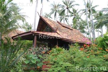 Coconut Village 15